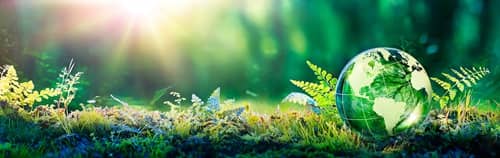 Benefits of Green Web Hosting