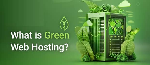 The Benefits of Choosing a Green Web Hosting Provider