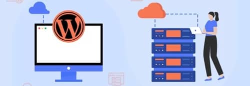 Picking the Right Hosting Plan